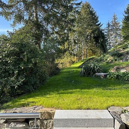 Апартаменти Exclusiv Im Erzgebirge Amtsberg Екстер'єр фото