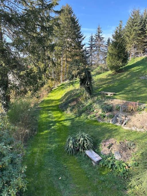 Апартаменти Exclusiv Im Erzgebirge Amtsberg Екстер'єр фото